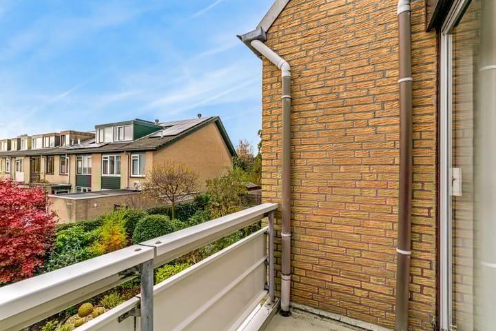 Foto 40 van Klaproos 40