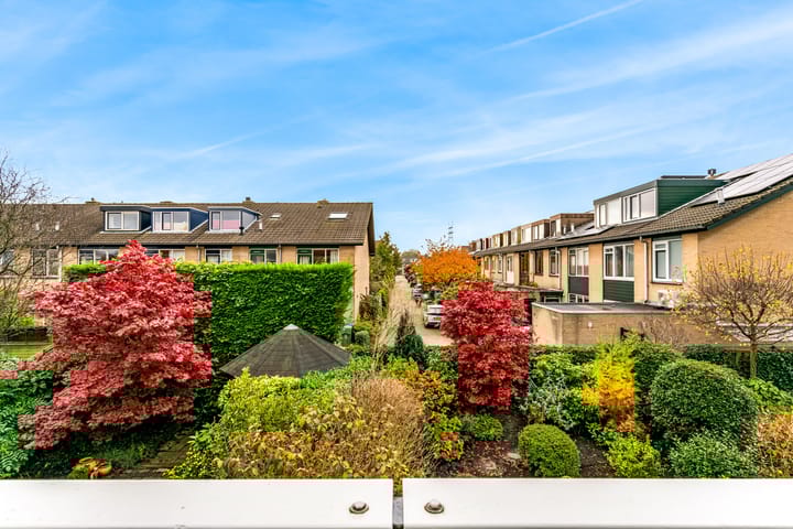 Foto 41 van Klaproos 40