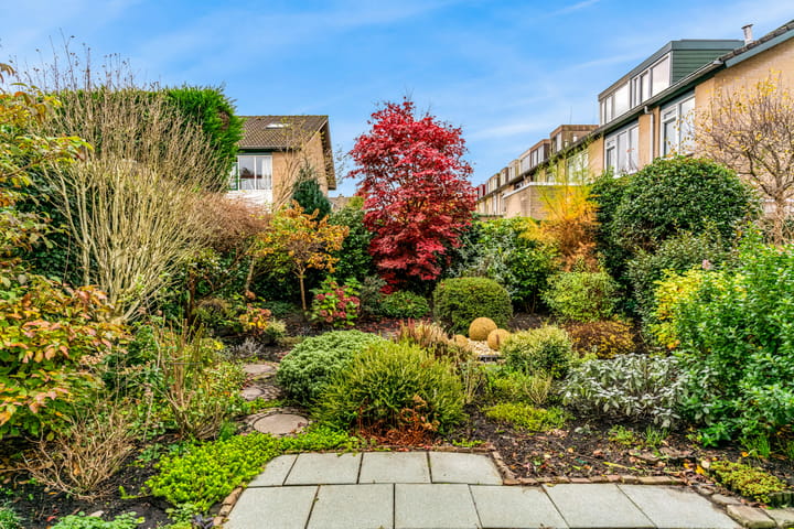 Foto 50 van Klaproos 40