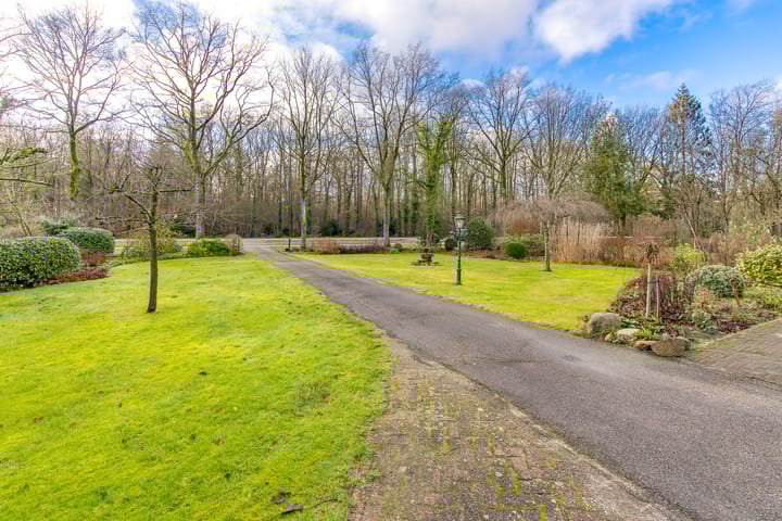 Foto 5 van Borgerderweg 32