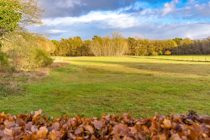 Foto 37 van Borgerderweg 32