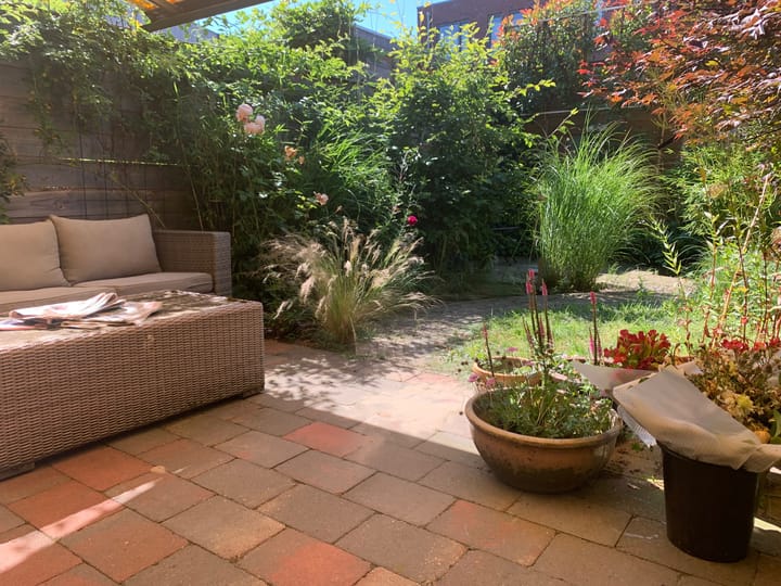 Foto 50 van Banderol 5