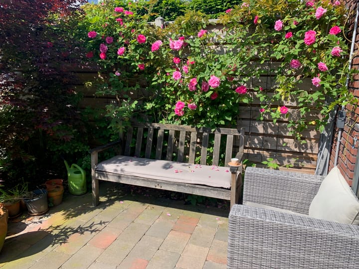 Foto 52 van Banderol 5