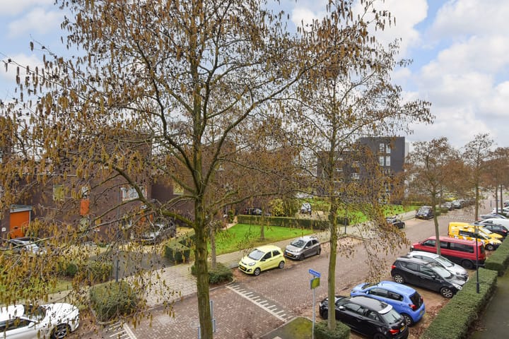 Foto 36 van Kniekas 4