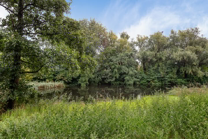 Foto 46 van Stikkelwaard 2