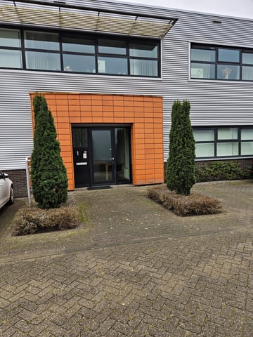 Koninginnekruid 1