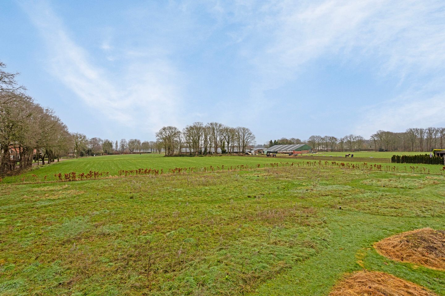 Photo 55 of Meerstraat 46