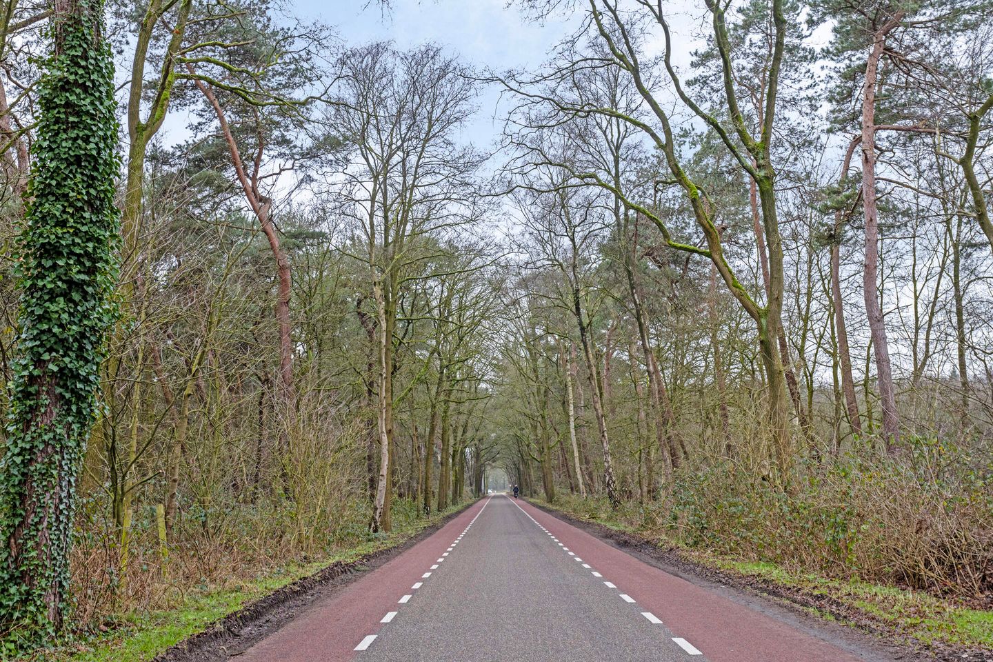 Photo 65 of Meerstraat 46