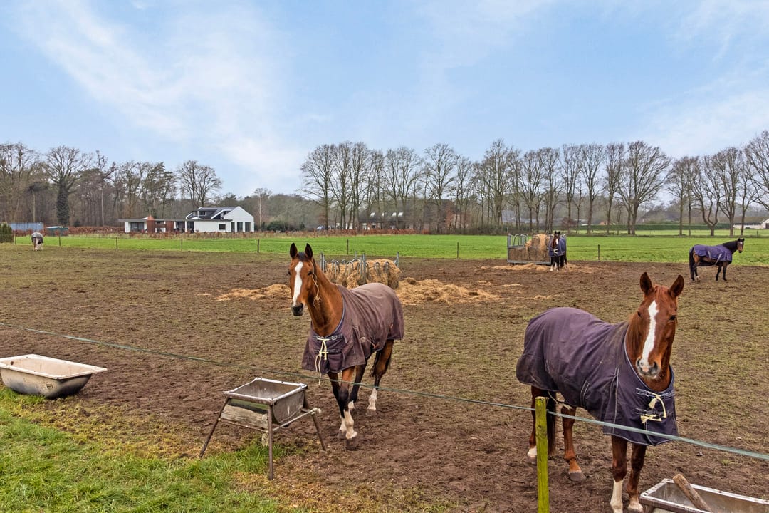 Photo 76 of Meerstraat 46