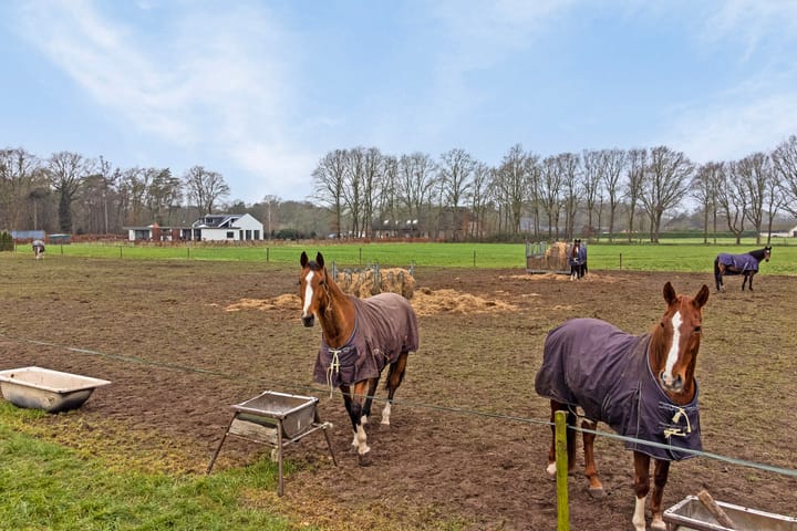 Photo 76 of Meerstraat 46