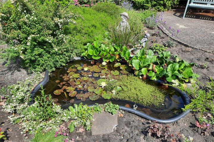 Foto 32 van Begoniastraat 40