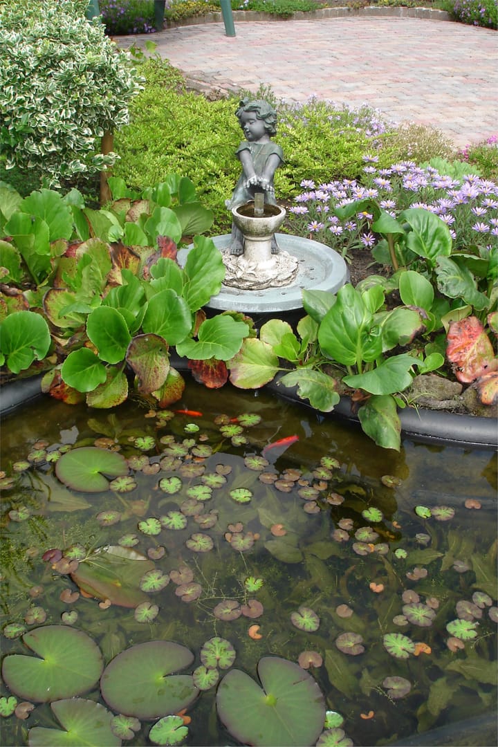 Foto 34 van Begoniastraat 40