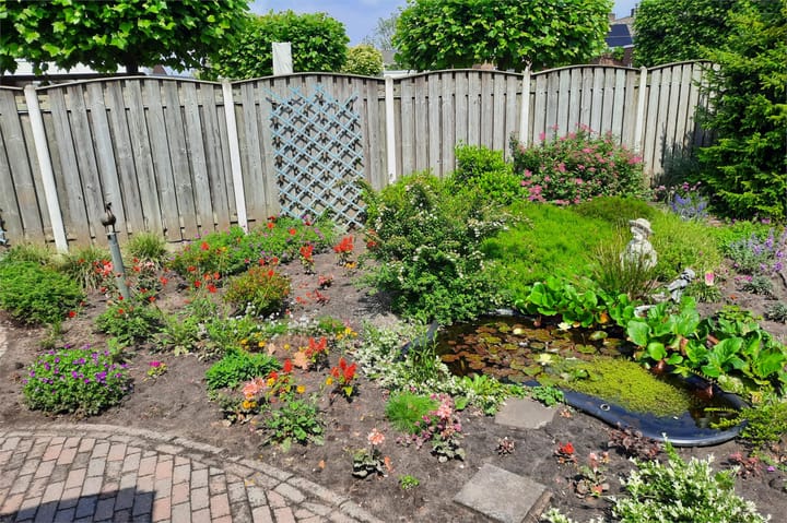 Foto 36 van Begoniastraat 40