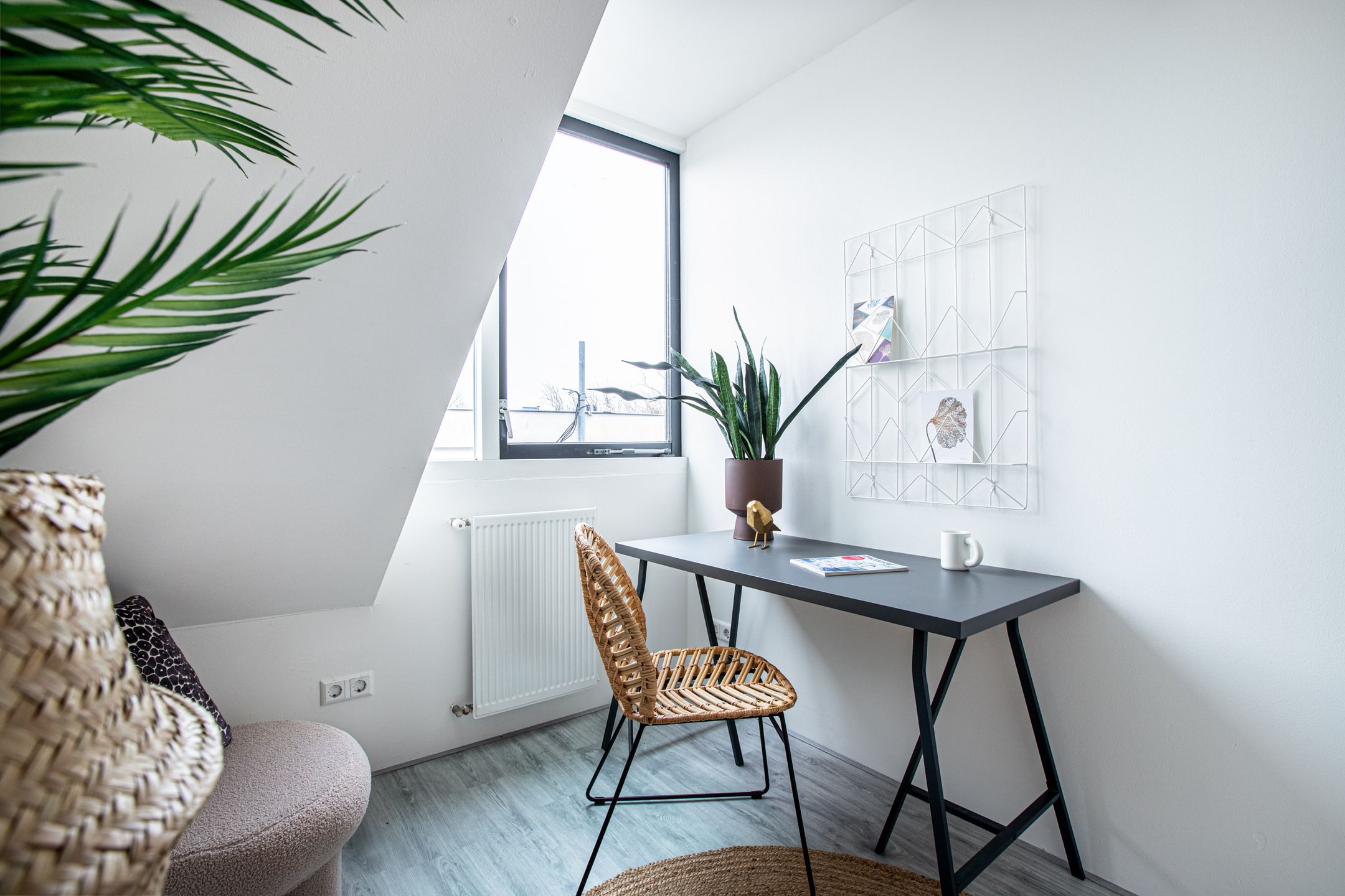 Foto 18 van Koningin Wilhelminastraat 88-D