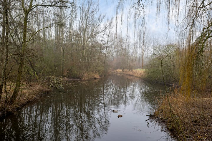 Foto 9 van Kremersheerd 145