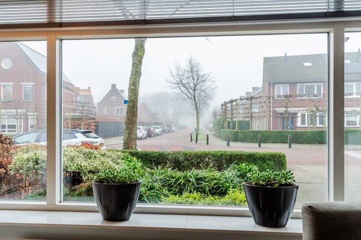 Foto 9 van in d' Hoef 84