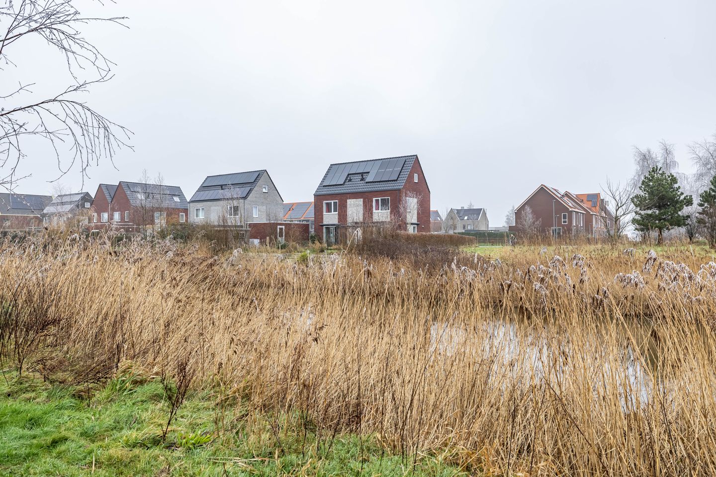 Photo 10 of Meeroeverslaan 197