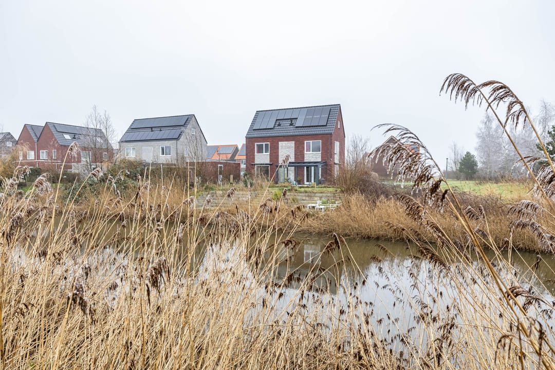 Photo 11 of Meeroeverslaan 197