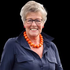 Henny van Veldhuisen - Commercial Employee