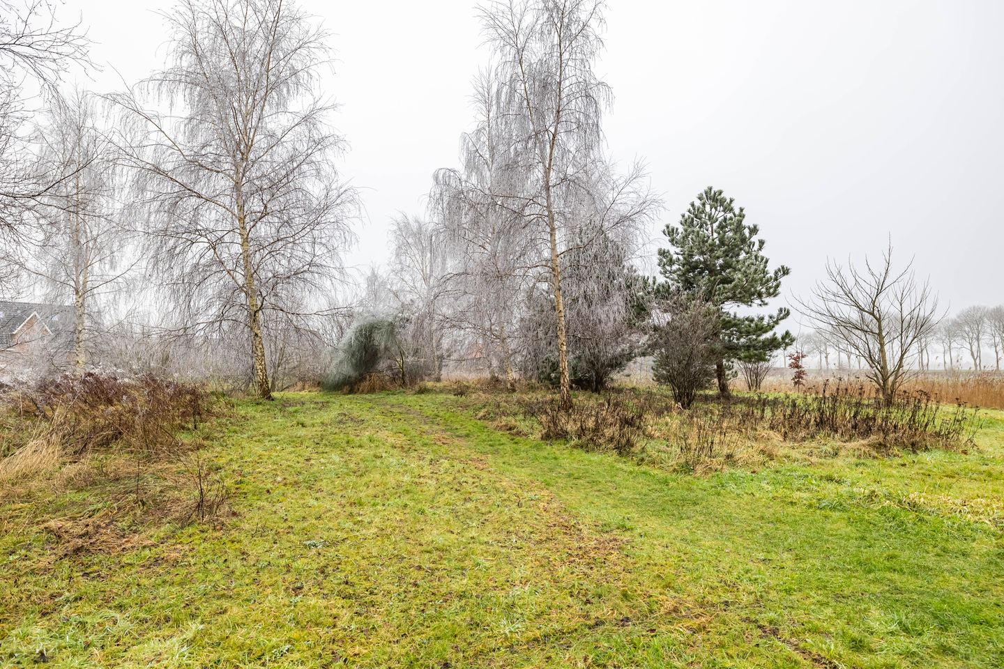 Photo 14 of Meeroeverslaan 197