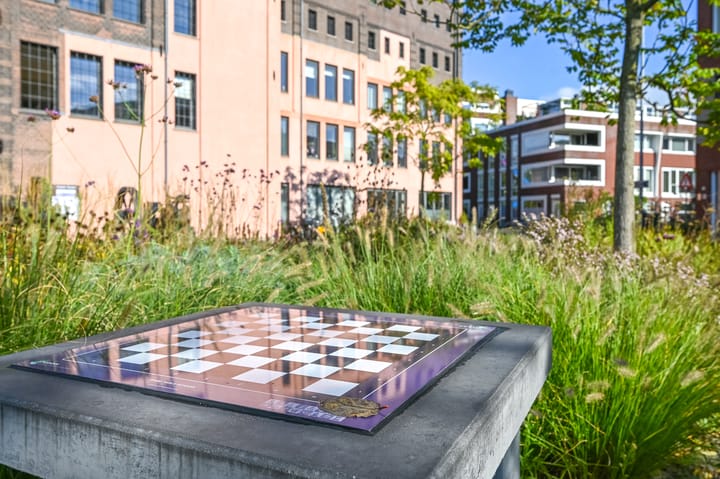 Foto 49 van Max Euweplein 2