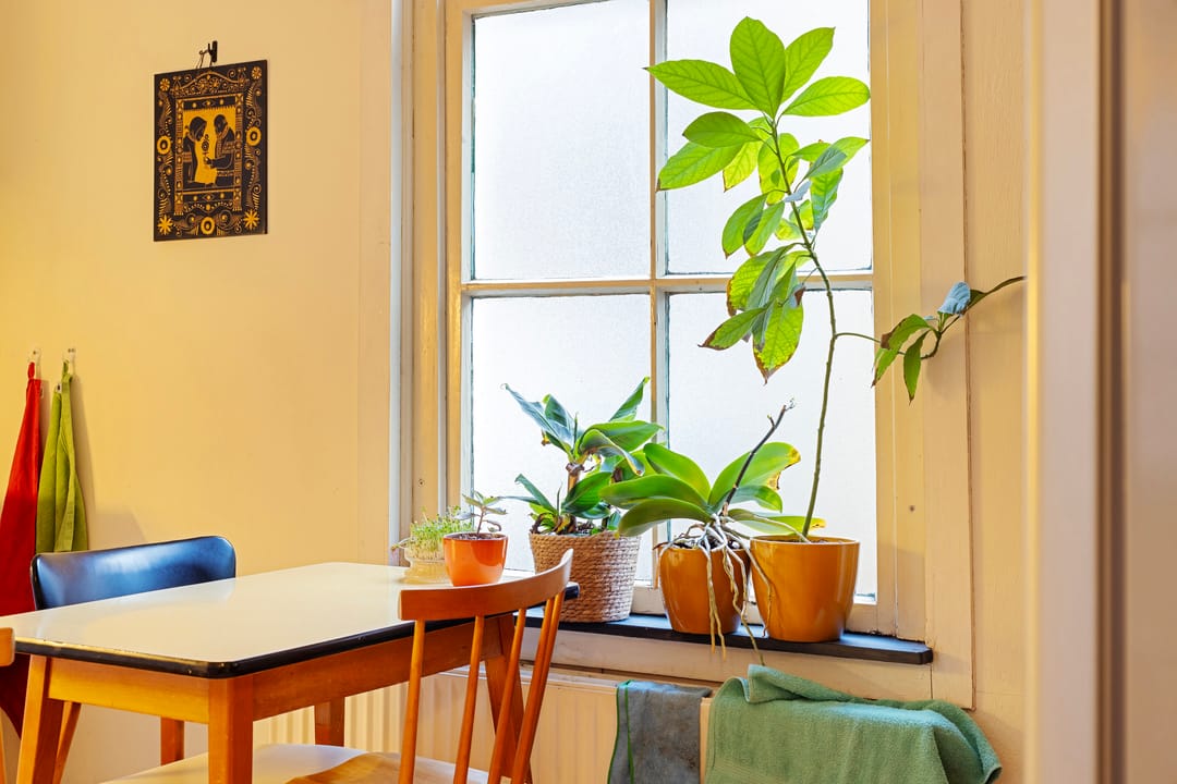 Foto 23 van Nieuwstadskerksteeg 11-A