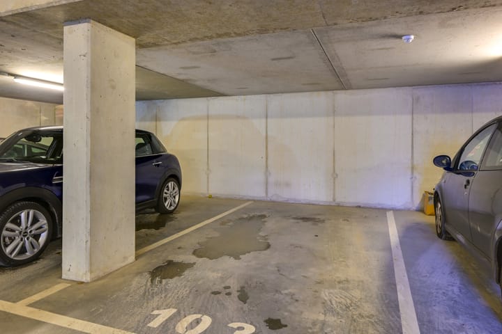 Foto 34 van Vlechtdraadhof 24