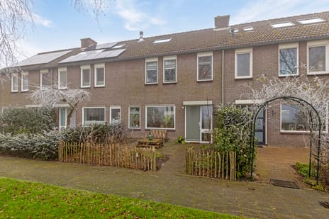 undefined main image