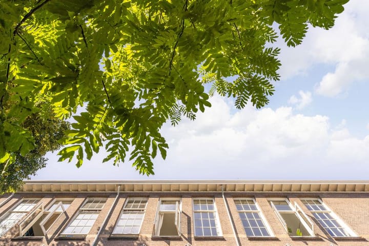 Foto 2 van Duyststraat 28-C