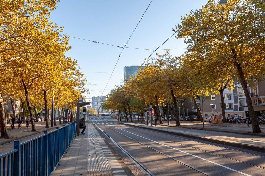 Foto 16 van Beethovenstraat 143-3