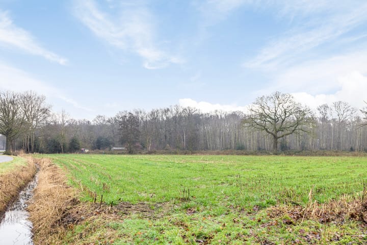 Foto 30 van Nieuwe Kerkstraat 3