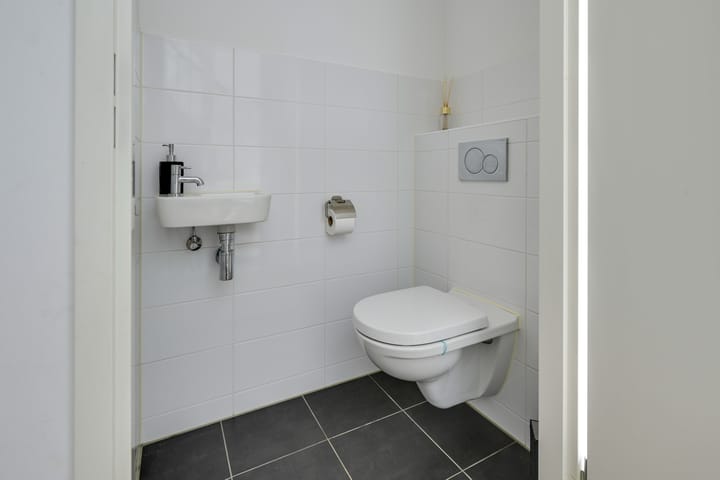 Foto 53 van Hoevesteinse Lint 24