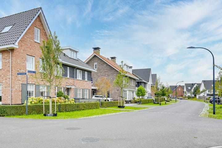 Foto 78 van Hoevesteinse Lint 24