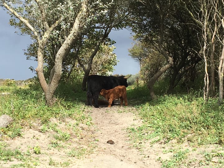 Photo 49 of Van Egmondstraat 60