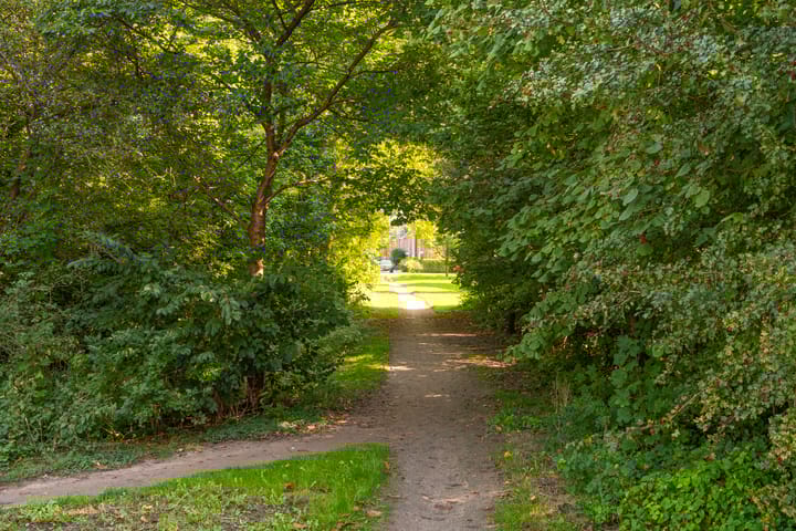 Foto 50 van Emmalaan 75