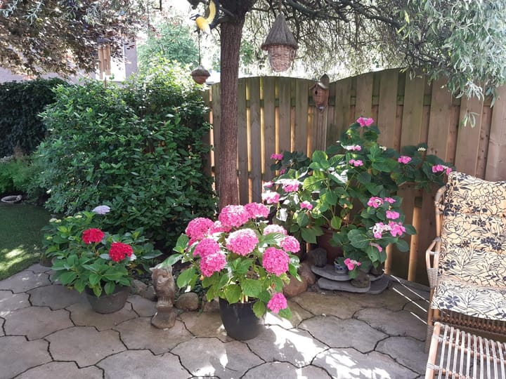 Foto 31 van Koningshof 2