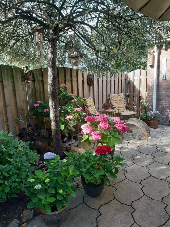 Foto 32 van Koningshof 2