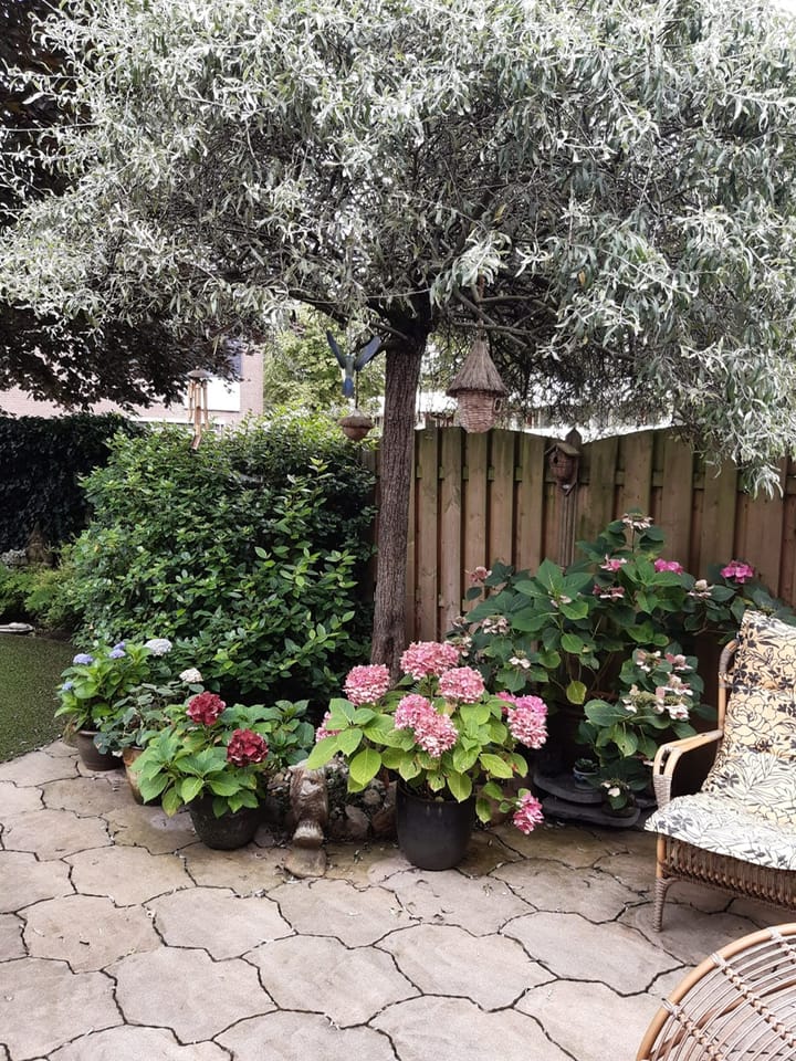 Foto 35 van Koningshof 2