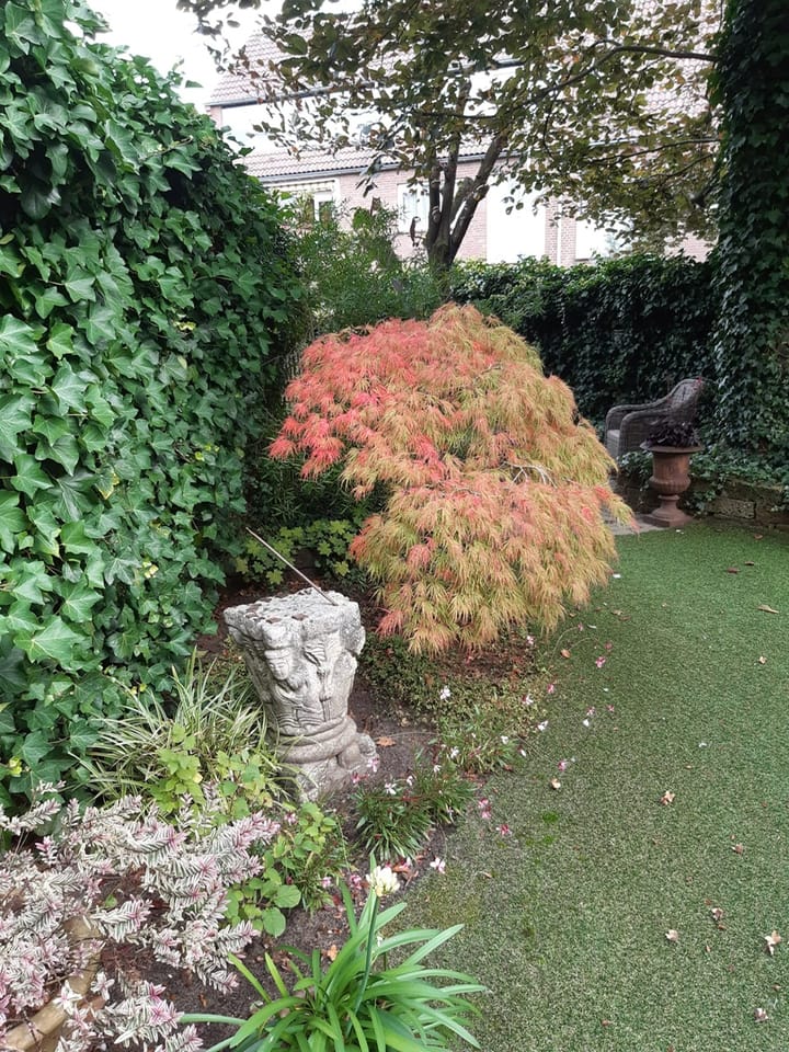 Foto 37 van Koningshof 2