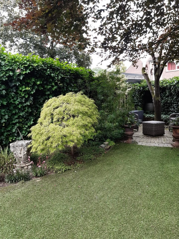 Foto 38 van Koningshof 2