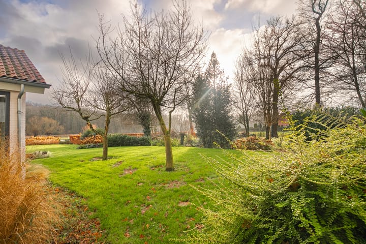 Foto 33 van Pasweg 29