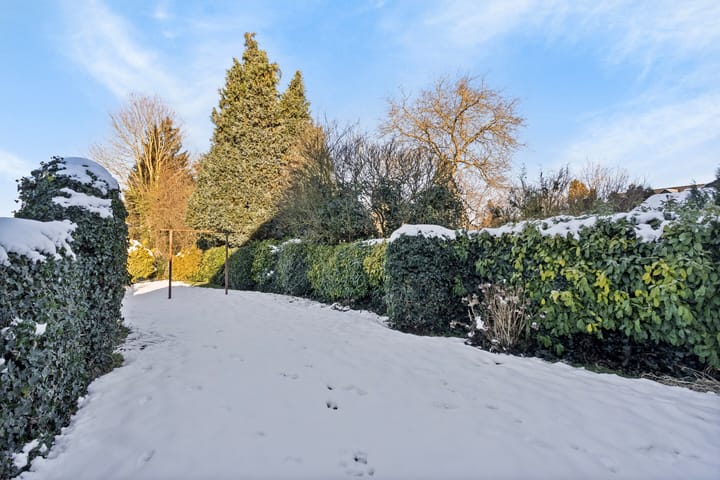 Foto 62 van Rondelenstraat 2