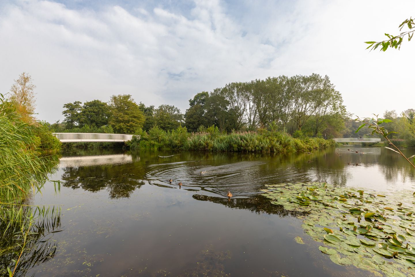 Photo 34 of Mr. Jan Gerritszlaan 75-II