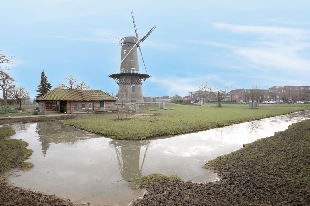 Foto 38 van de Wieken 11