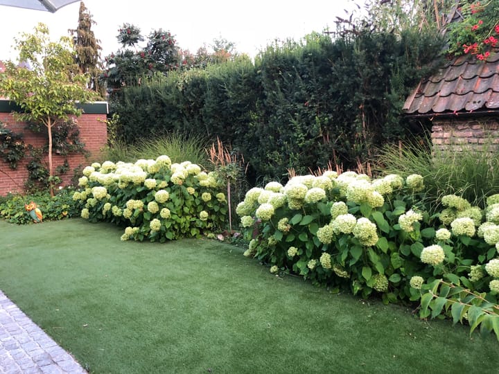 Foto 75 van Drekkesteeg 4