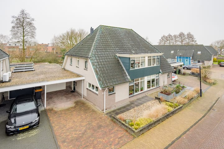 Foto 2 van Pinksterbloem 4