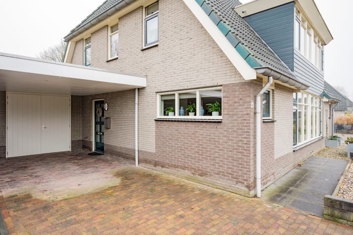 Foto 3 van Pinksterbloem 4