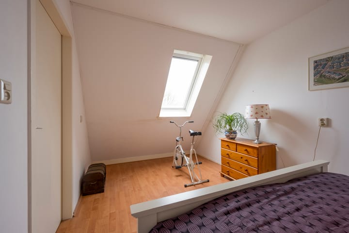 Foto 27 van Pinksterbloem 4