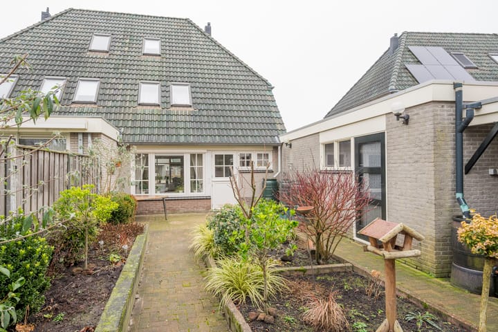 Foto 29 van Pinksterbloem 4