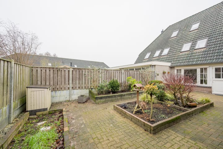 Foto 30 van Pinksterbloem 4